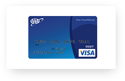 Visa Travelmoney Card Provided By Metabank