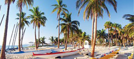 A tropical florida beach.